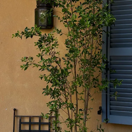Apartment In The Heart Of *