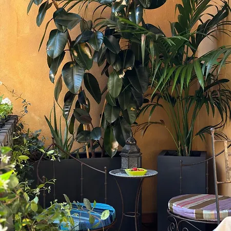 In The Heart Of * Rom